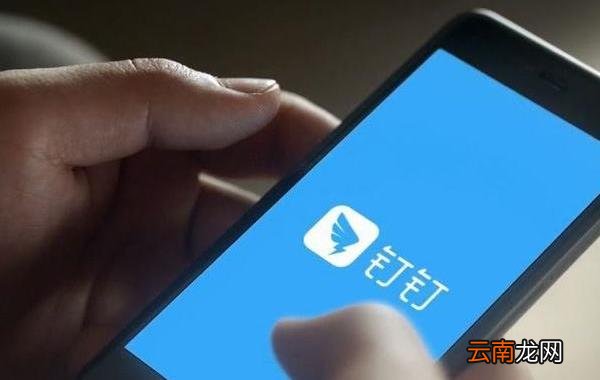 钉钉直播中怎么签到