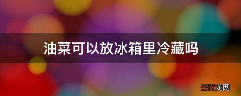油菜可以放冰箱里冷藏吗