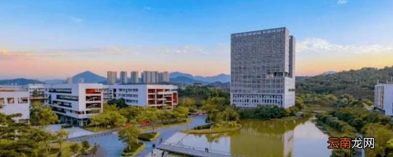 深职春招转专业只能降转吗