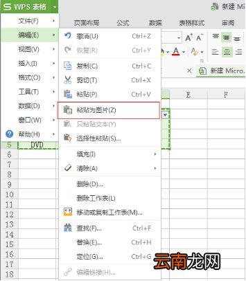 如何将Excel的单元格变成图片?无需截图工具
