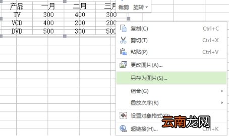 如何将Excel的单元格变成图片?无需截图工具