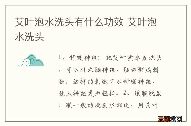 艾叶泡水洗头有什么功效 艾叶泡水洗头