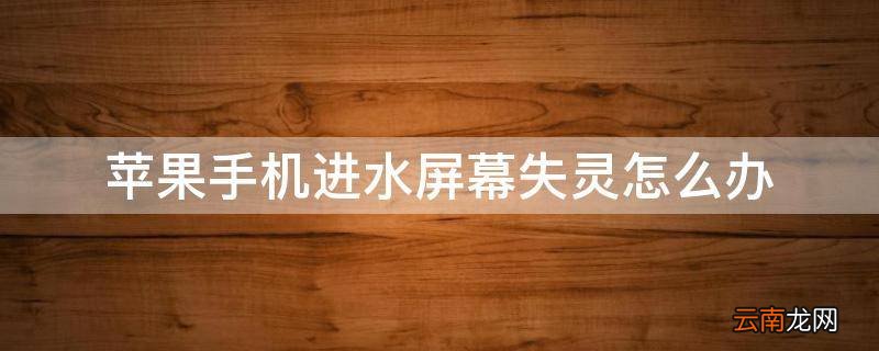 苹果手机进水屏幕失灵怎么办