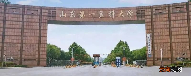 山东第一医科大学有日语公开课吗