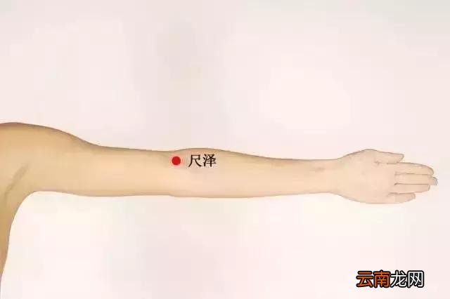 跪坐：屈膝养生效果巨大！