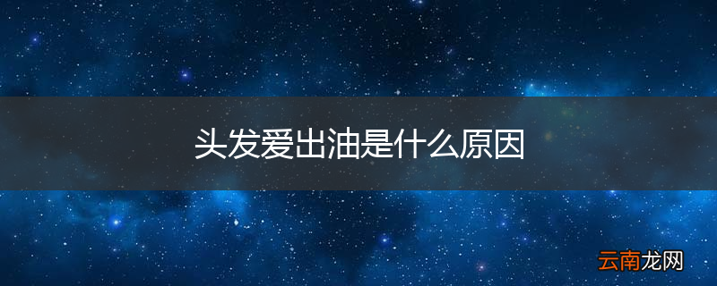 头发爱出油是什么原因