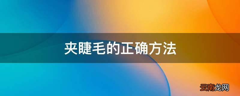 夹睫毛的正确方法