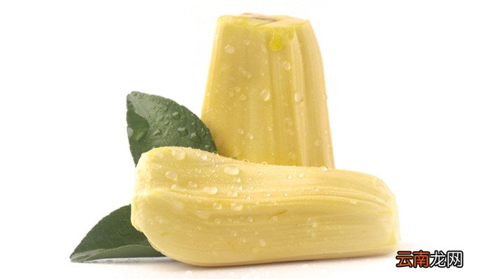 菠萝蜜内芯发黑 菠萝蜜心发黑