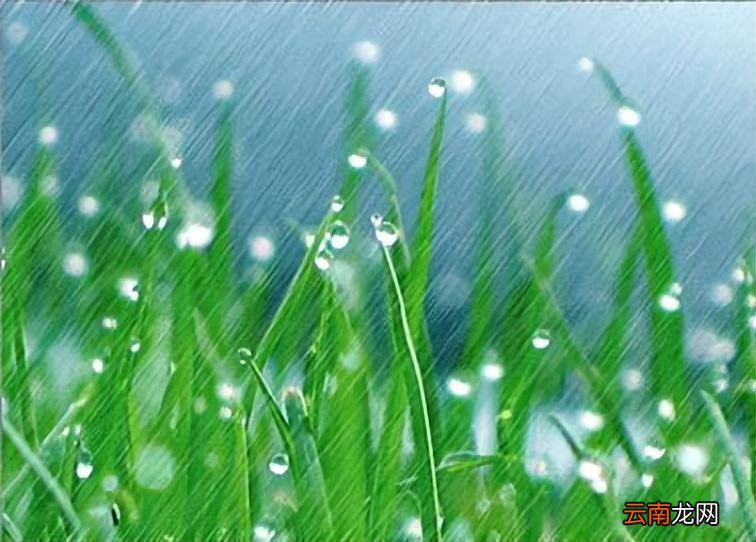 盘点生活中春季的节日 春天的节日有哪些传统节日
