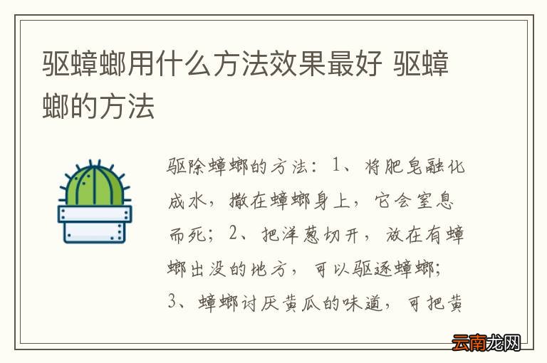 驱蟑螂用什么方法效果最好 驱蟑螂的方法