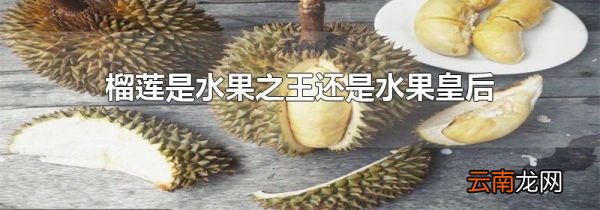 榴莲是水果之王还是水果皇后