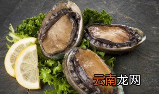 鲍鱼保鲜后能放冰箱吗 鲍鱼放在冰箱可以保存多久