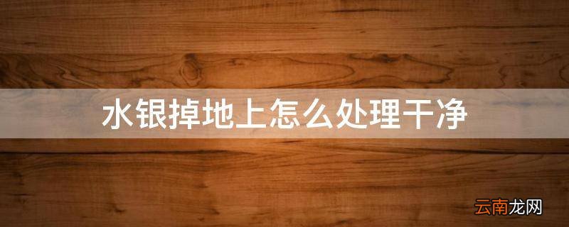 水银掉地上怎么处理干净