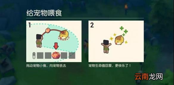 海岛纪元宠物怎么捕捉 宠物捕捉攻略