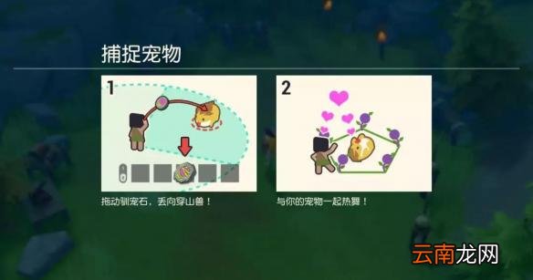 海岛纪元宠物怎么捕捉 宠物捕捉攻略