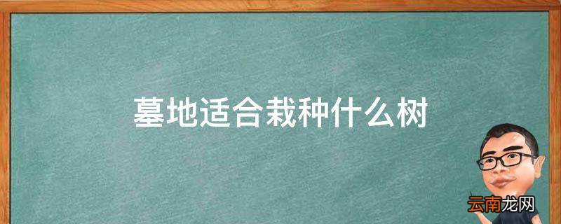 墓地适合栽种什么树