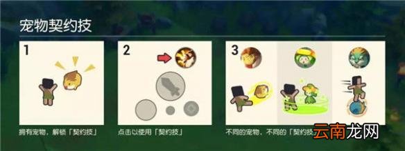 海岛纪元宠物有哪几种 宠物类型及技能介绍