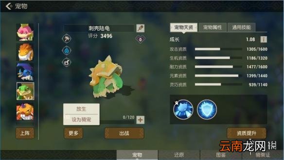 海岛纪元宠物怎么骑乘 宠物骑乘攻略