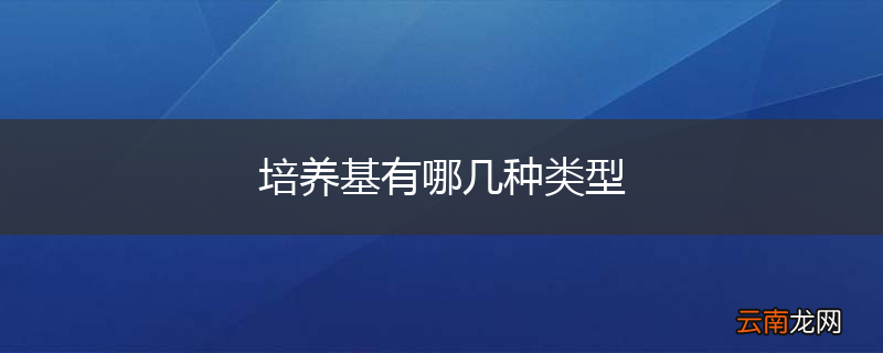 培养基有哪几种类型
