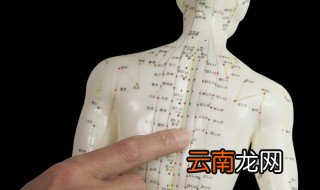 章门的作用是什么 章门的简介
