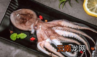 八爪鱼的头部不清理可以吃吗 八爪鱼的头部不清理可不可以吃