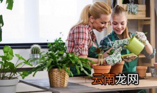 怎么养好植物 怎么养好植物的根
