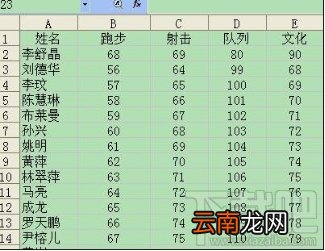 重复数据查找，巧用条件格式查找在WPS表格中的重复数据