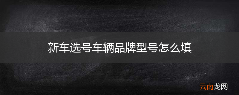 新车选号车辆品牌型号怎么填