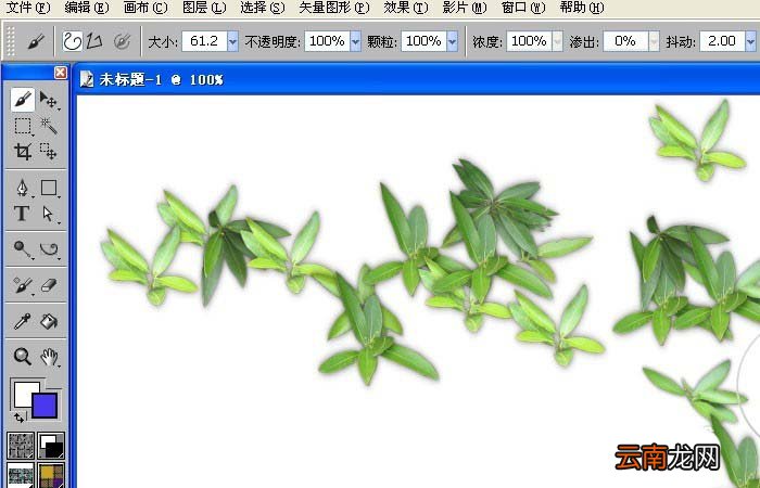 使用painter绘画出丛林树枝外观效果图形具体操作方法