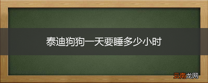 泰迪狗狗一天要睡多少小时