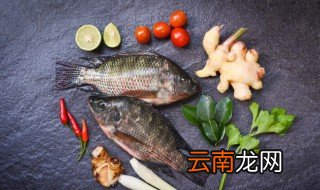 绿鱼怎么做好吃 鸭绿鱼怎么做好吃