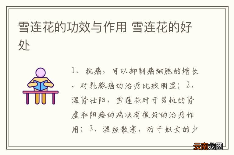 雪连花的功效与作用 雪连花的好处