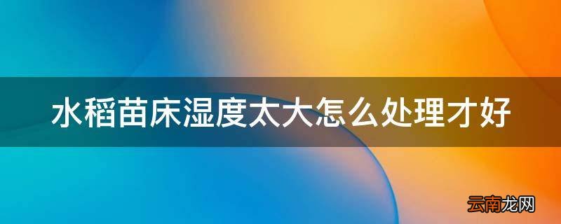 水稻苗床湿度太大怎么处理才好