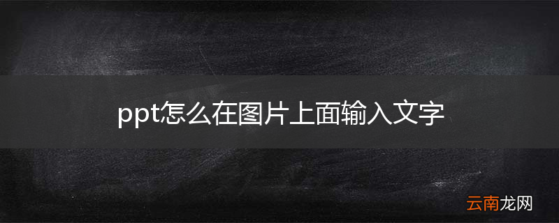 ppt怎么在图片上面输入文字