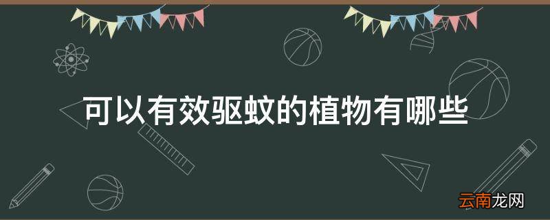 可以有效驱蚊的植物有哪些