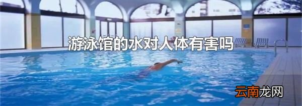 游泳馆的水对人体有害吗