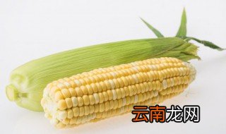 苞米发霉了怎么办 发霉的玉米能做什么