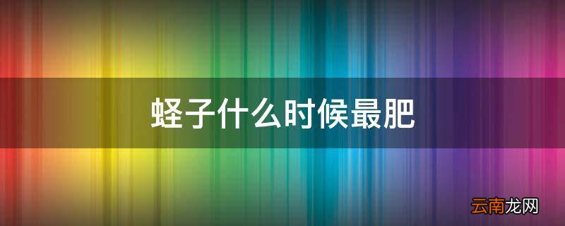 蛏子什么时候最肥