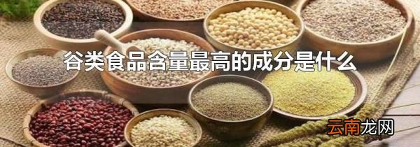 谷类食品含量最高的成分是什么