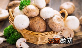 冬菇可以放冰箱吗 冬菇能放冰箱保鲜吗