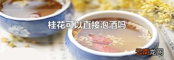 桂花可以直接泡酒吗