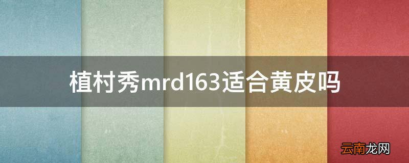 植村秀mrd163适合黄皮吗