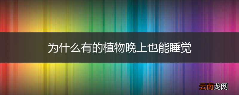 为什么有的植物晚上也能睡觉