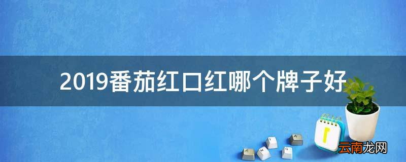 2019番茄红口红哪个牌子好
