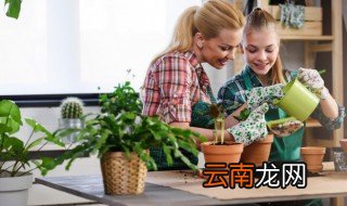土壤怎么养才健康 怎样养好土壤