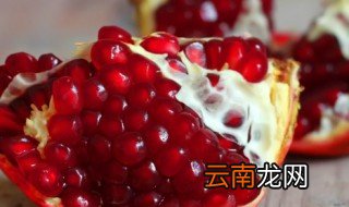 石榴怎么养才不甜，怎样养好石榴