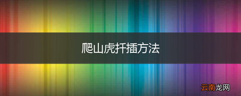 爬山虎扦插方法
