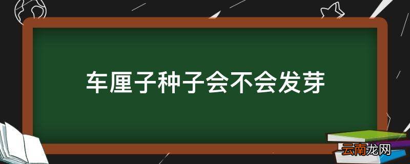 车厘子种子会不会发芽