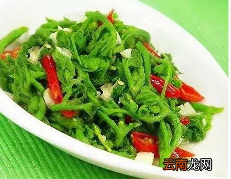 五十款素菜做法大全，健康营养味道比肉香！