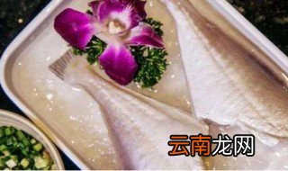 扒皮鱼为什么没有头 扒皮鱼为何没有头